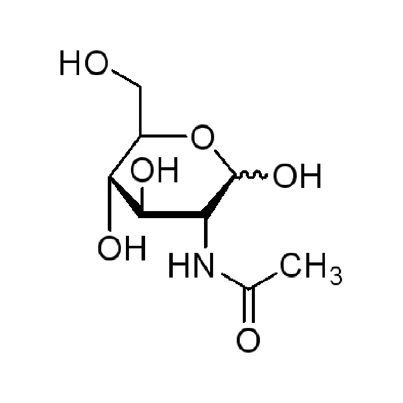 n-乙酰-d-氨基葡萄糖