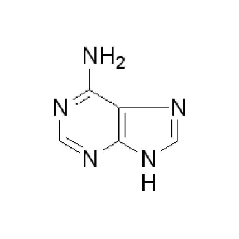 腺嘌呤