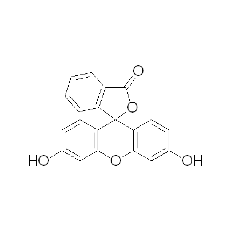 荧光素