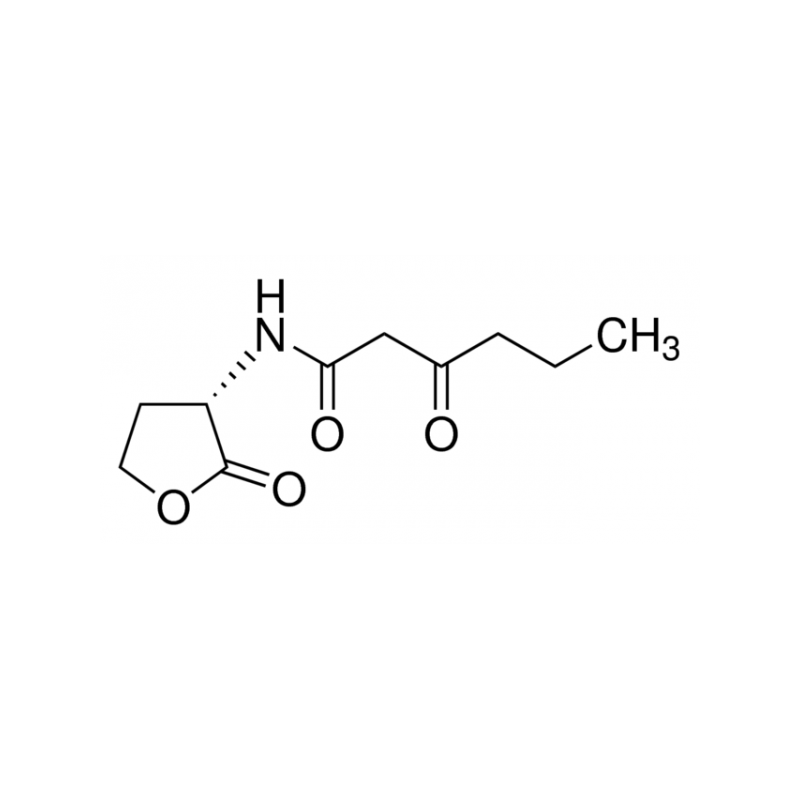 n-3-氧-己酰高丝氨酸内酯